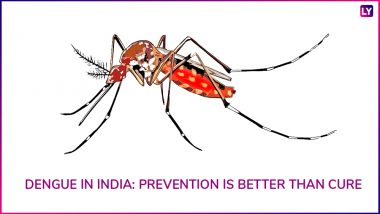 Dengue Fever: Expert Tips To Stay Protected From The Vector-Borne Disease This Monsoon