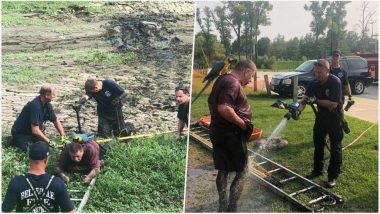 Illinois Man Get Stuck in a Mud Hole While Saving His Pet Parrot! Fire Crews Rescues the Pair