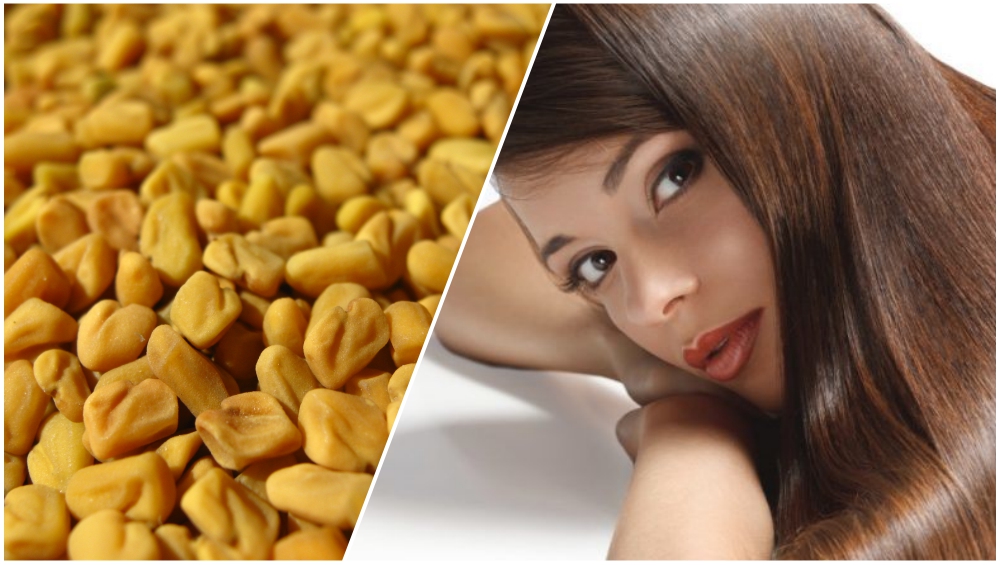 Methi Seeds for Hair: How Fenugreek Seeds Can Prevent Hair Loss, Dandruff  And Promote Thick Hair Growth | 🍏 LatestLY