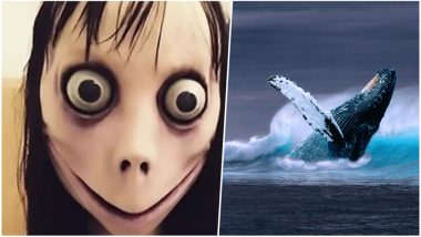 Momo Suicide Challenge on Whatsapp: What Parents Can Learn From The Blue Whale Challenge And Keep Their Children Safe
