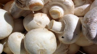 Consuming Mushrooms Beneficial for Elderly Men As It Reduces Prostate Cancer Risk: Study