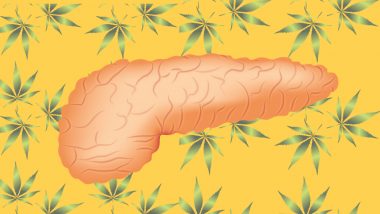 Weed To Treat Cancer? Cannabis Compound May Increase Lifespan in Patients Suffering Pancreatic Cancer