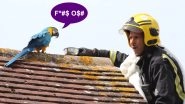 Parrot Swears at London Firefighter Who Was Trying to Rescue Him From The Roof!