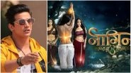 Naagin 3: Bigg Boss 9 Winner Prince Narula To Play a Snake-Charmer on Ekta Kapoor's Supernatural Show