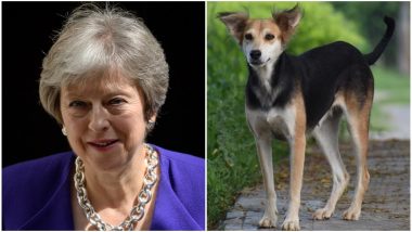 UK Prime Minister Theresa May Under Pressure to Ban Killing of Dogs and Their Consumption