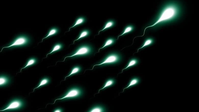 How To Increase Fertility: Men, Tight Underwear May Reduce Sperm Count; Wear Boxer Shorts Instead How To Increase Fertility: Men, Tight Underwear May Reduce Sperm Count; Wear Boxer Shorts Instead