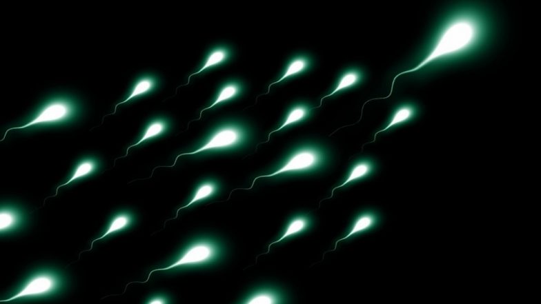Penis Length Is Shrinking Due to Toxic Chemicals in the Environment! From Decreasing Sperm Count to Smaller Testicular Volume, Recent Research Reveals SHOCKING Effects of Pollution
