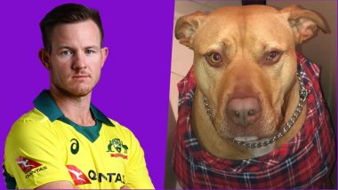 D'Arcy Short Gets Bitten by His Pet Dog, Misses Western Australia vs New South Wales JLT One-Day Cup 2018 Match!