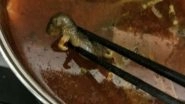Pregnant Woman in China Finds Dead Rat in Her Soup, Offered Money for Abortion! Restaurant Loses $190Mn