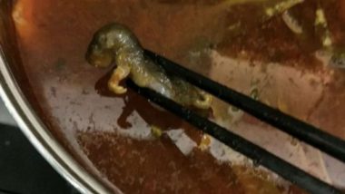 Pregnant Woman in China Finds Dead Rat in Her Soup, Offered Money for Abortion! Restaurant Loses $190Mn