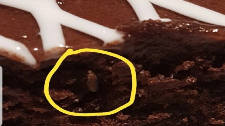 Hyderabad IKEA Store In Trouble Again! Insect Found In Chocolate Cake; GHMC Imposes Fine Of Rs 5,000