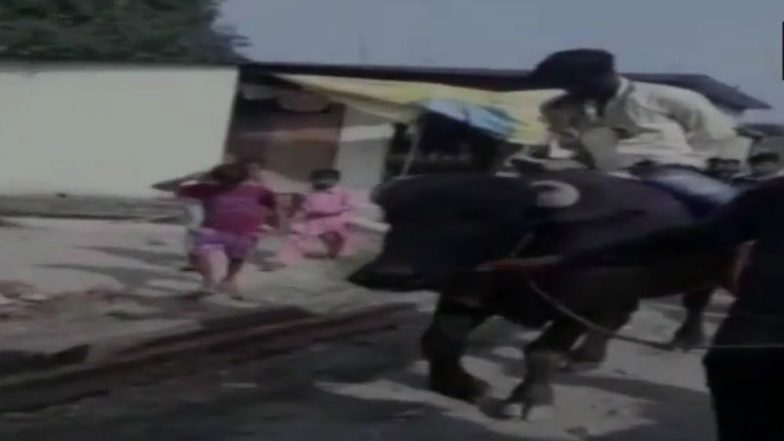 Rampur: Locals Blacken Man’s Face, Parade on Buffalo With Shoe Garland for Allegedly Sexually Assaulting Minor Boy