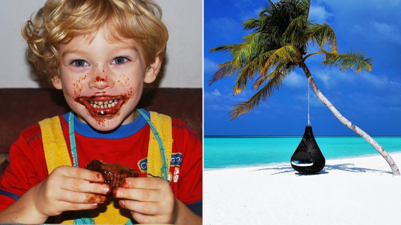 Do You Know Playing LEGO is a Job? From Sleeping to Eating Chocolates Here Are 10 Coolest Jobs in The World