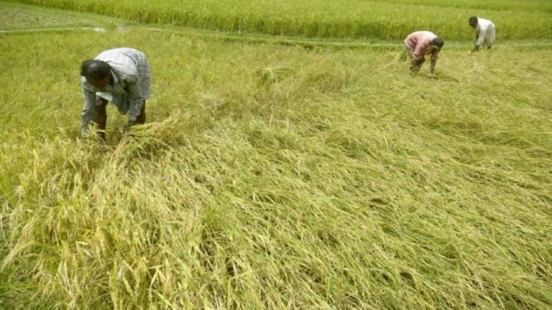 Rajasthan: Farm Loan Waiver to Benefit 11 Lakh Farmers, Says Minister Udailal Anjana