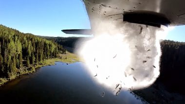 Flying Fish in Utah! Thousands of Trouts Dropped From Airplane Into Lake For 'Stocking Up,' Watch Video!
