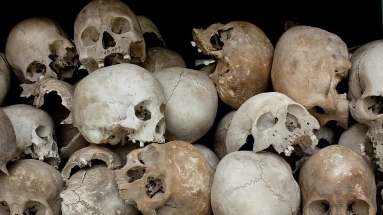 Mexico: 166 Human Skulls Found From 3,200 sq ft Mass Grave in Veracruz