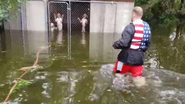 Hurricane Florence: Six Dogs Abandoned by Owners in Flooded Kennel Rescued From North Carolina(Watch Video)