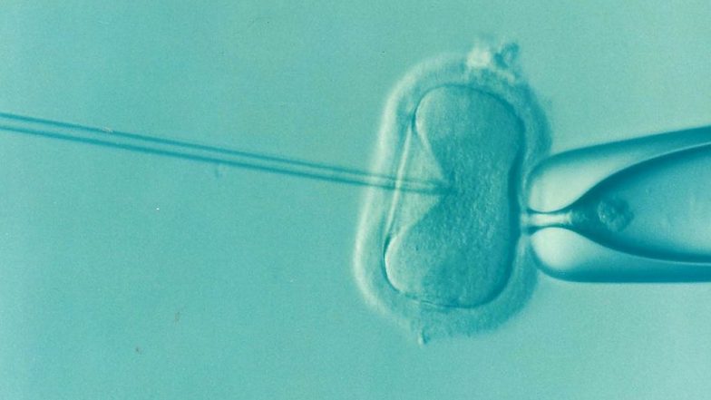 IVF Can Compromise Your Baby’s Health: 9 Dangers of In Vitro Fertilisation You Should Know About