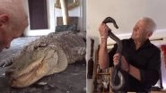 Man in France Stays With 400 Reptiles in His House, Watch Scary Video
