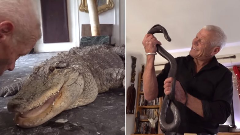 Man in France Stays With 400 Reptiles in His House, Watch Scary Video