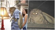 Moth Memes Have Taken Over the Internet and They Are Not &lsquo;Light&rsquo; Humour! Check Funny Jokes