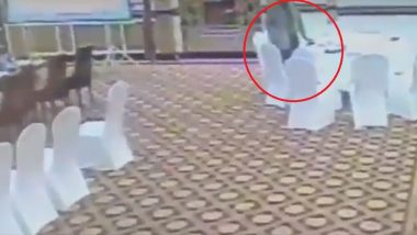 Pakistan Bureaucrat Caught on Camera Stealing Wallet of Kuwaiti Delegate, Watch Video