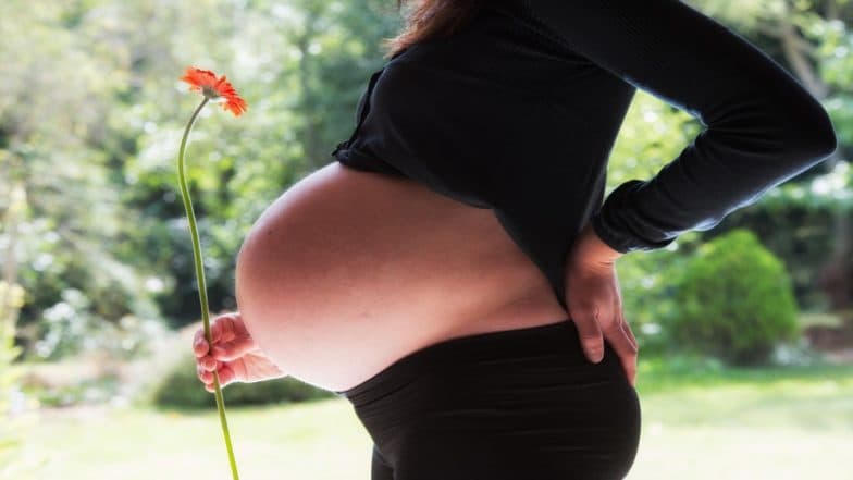Pregnant Women Exposed to Pollen in Last Trimester Increases Risk of Asthma in Babies, Reveals a Study Pregnant Women Exposed to Pollen in Last Trimester Increases Risk of Asthma in Babies, Reveals a Study
