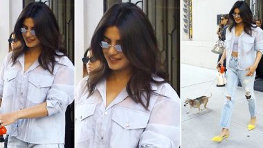 Priyanka Chopra Steps Out With Pet Diana for a Casual Stroll in NYC, but It’s Her Pair of Yellow Heels That Grabs All Our Eyeballs