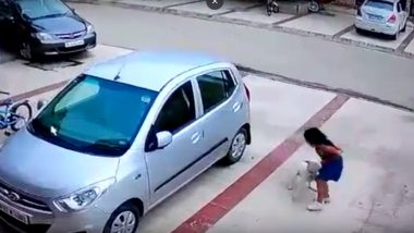 Dog Attacks Minor Girl in Rohtak, Owner Gets Bail After Arrest; Watch Video