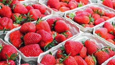 Strawberry Needle Scare in Australia: NSW Boy Arrested for Causing Scare and Crippling the Fruit Industry