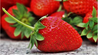 Secret Sex Life of Strawberries! The ‘Jumping’ Genes in the Fruit Uncovers the Truth