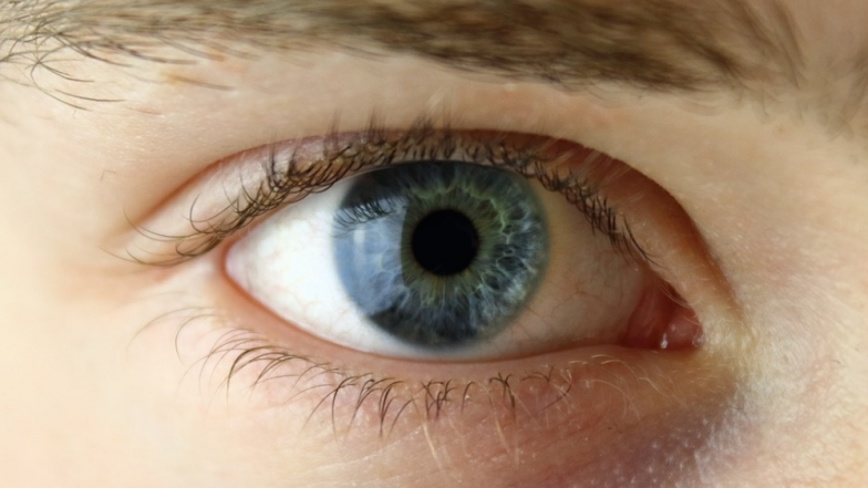 Mojo Vision: 'Invisible Computing' Startup Unveils AR Contact Lens Which Offers Display