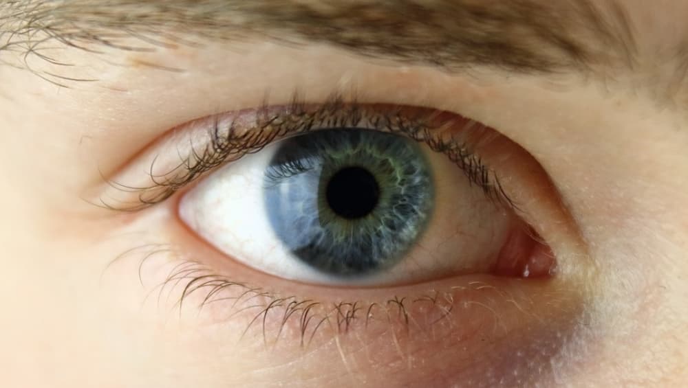 Mojo Vision: 'Invisible Computing' Startup Unveils AR Contact Lens Which Offers Display Mojo Vision: 'Invisible Computing' Startup Unveils AR Contact Lens Which Offers Display