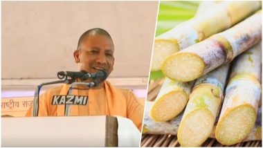 Is UP CM Yogi Adityanath Right About Sugarcane Causing Diabetes? Here’s What The Experts Say