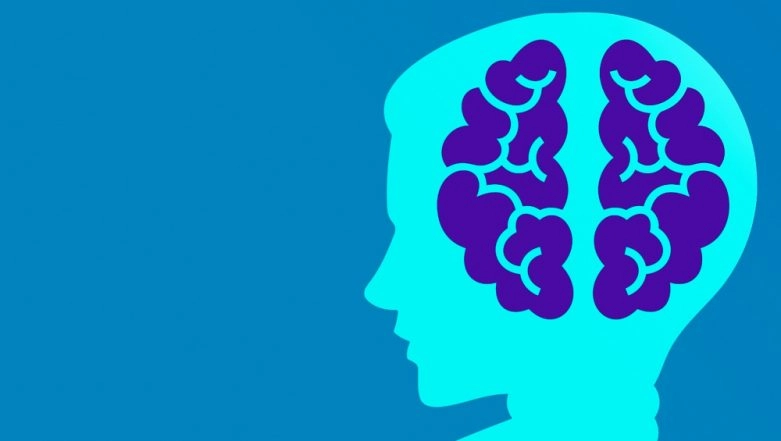 Renegade Protein Interrupts Brain Cell Function in Alzheimer's Disease, Reveals Study