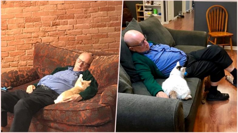 Cat Grandpa Goes Viral! Internet Is in Love With Safe Haven’s Elderly Volunteer Napping With Felines; View Adorable Pics
