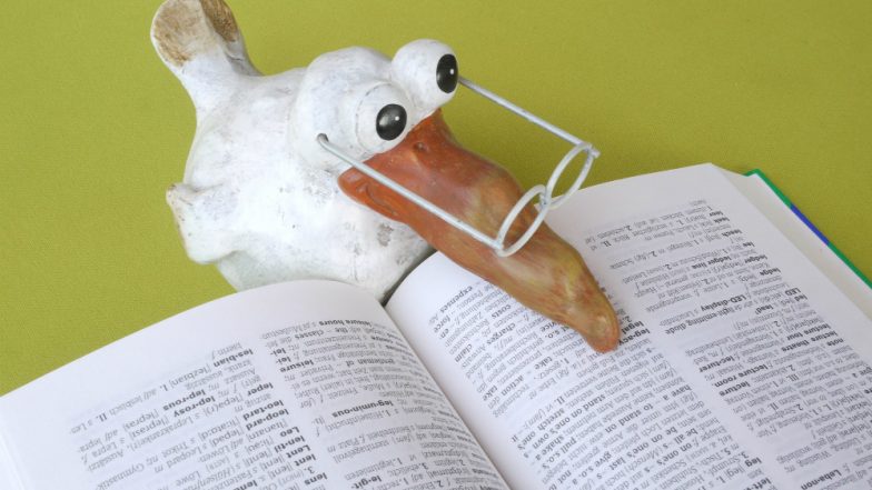 Merriam-Webster Adds 840 New Words to the Dictionary! ‘Adorbs’, ‘Fav’, ‘Instagramming’ Are Now Certified Words