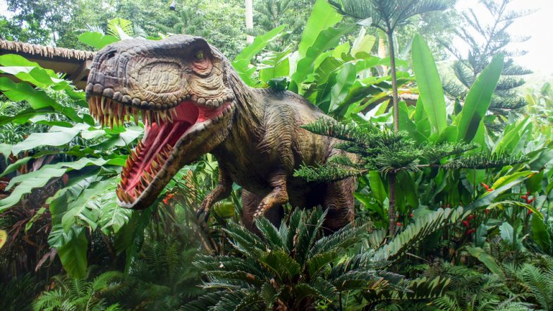 Footprints from 6 Different Dinosaur Species Discovered in UK's Kent
