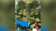 Banana Ganpati Pics Goes Viral on WhatsApp & Social Media: Is This Green Ganesha Really From Goa?