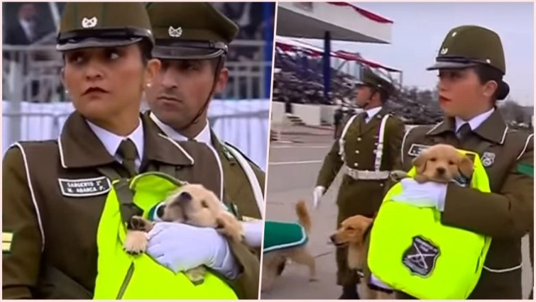 Chile Military Parade With Puppies! Watch Video of Adorable Police
