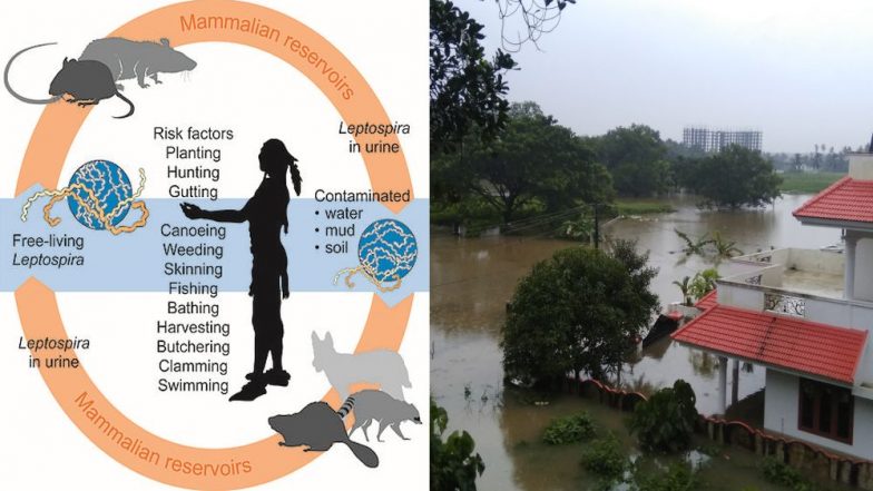After Kerala Floods, Leptospirosis Outbreak Kills 10 People: Here’s How You Can Prevent the Deadly Bacterial Infection