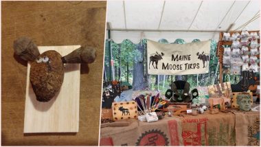 Artwork Made of Moose Poop! Excellent Excrement Art by Maine Woman Goes Viral, View Pics