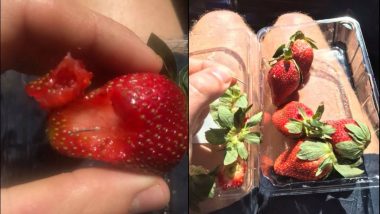 Needle Fear in Australia and New Zealand After Strawberry With Needle Stuck Inside Leaves a Man Hospitalised in Queensland