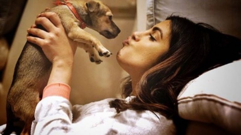 Happy Birthday Diana: 5 Times Priyanka Chopra and Her Doggo Made Us Hug Our Phones – View Pics