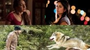 Kiara Advani&rsquo;s Masturbation Scene From Lust Stories, Katrina Kaif&rsquo;s Frisking Scene From New York, Salman Khan&rsquo;s Fight in Tiger Zinda Hai Proves Bollywood Is Copycat!