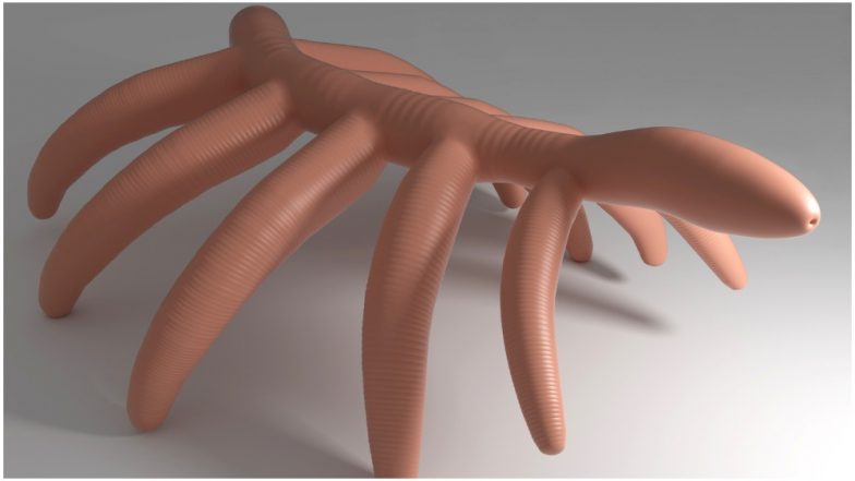 Critter: This 520-Million-Year-Old 'Naked' Clawless Creature Always Lived in Hiding (Watch Video)