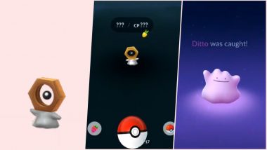 Pokémon Go Players Are Confused! New Mysterious Nut Head Creature Appears in the Game; View Pics