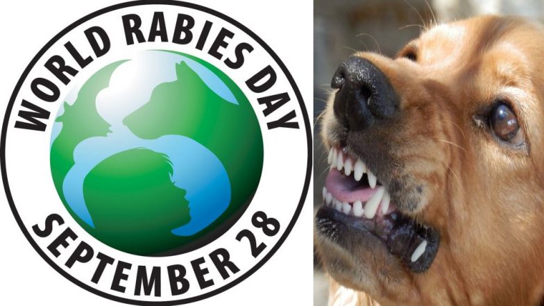 World Rabies Day 2018: The Causes, Symptoms and Treatment of This Viral Disease