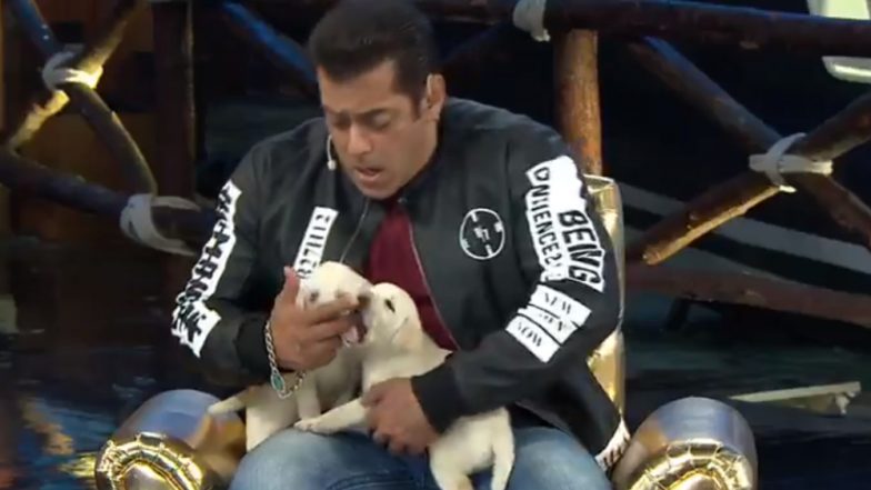 Bigg Boss 12: Salman Khan Gets Bitten by a Dog but There Is Nothing to Worry About – Watch Video
