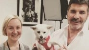 Simon Cowell Donates $326,000 to End Dog Meat Farm in South Korea